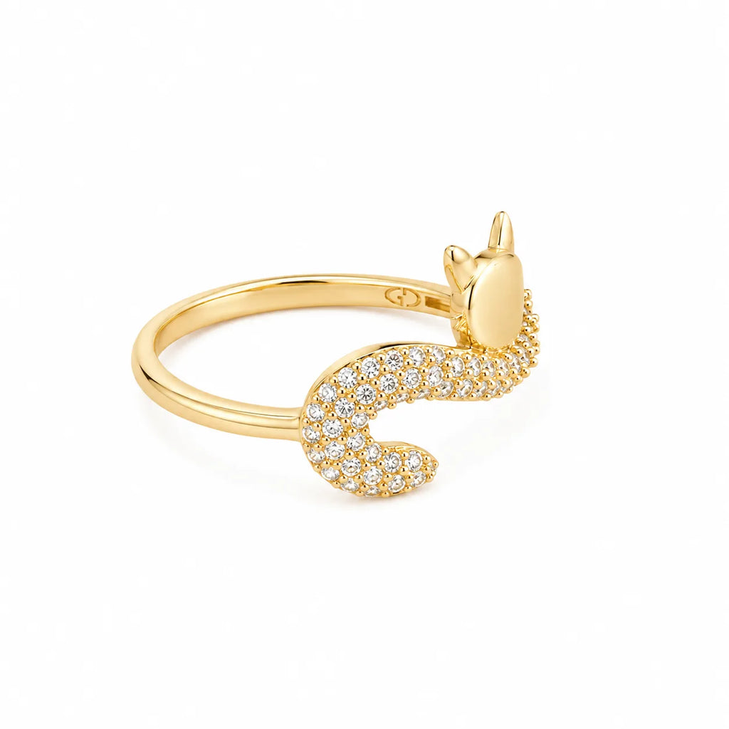Anillo Gato