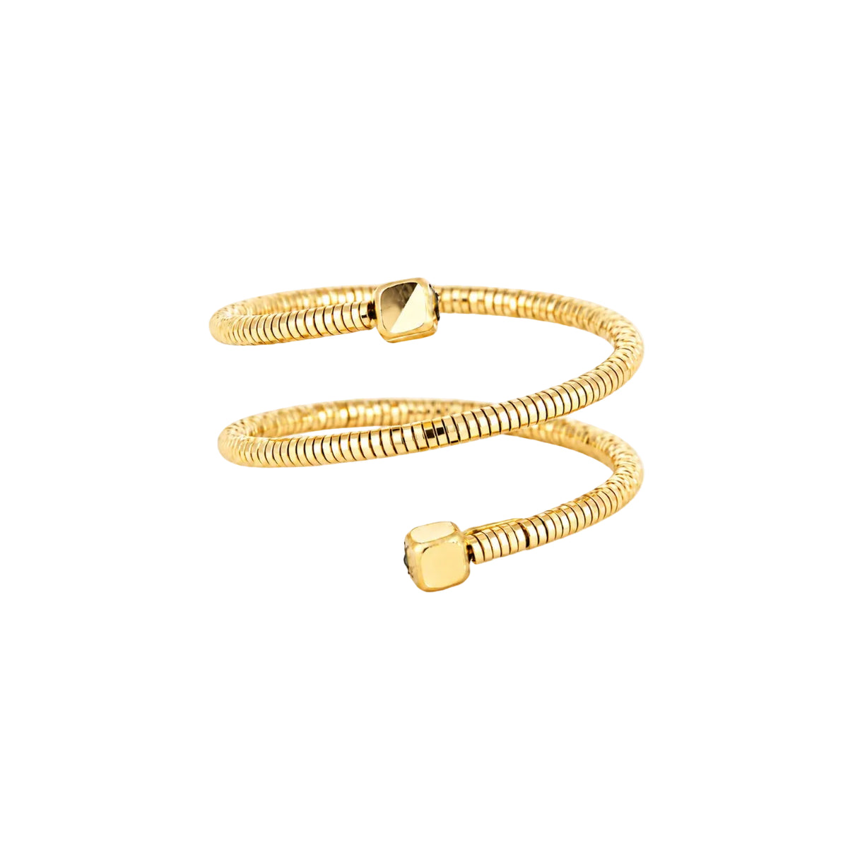 Anillo Orbita
