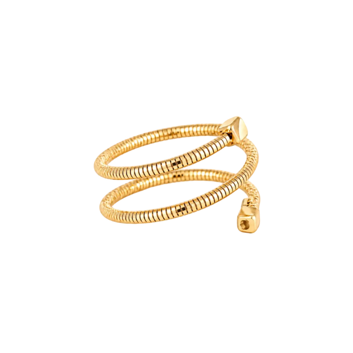 Anillo Orbita
