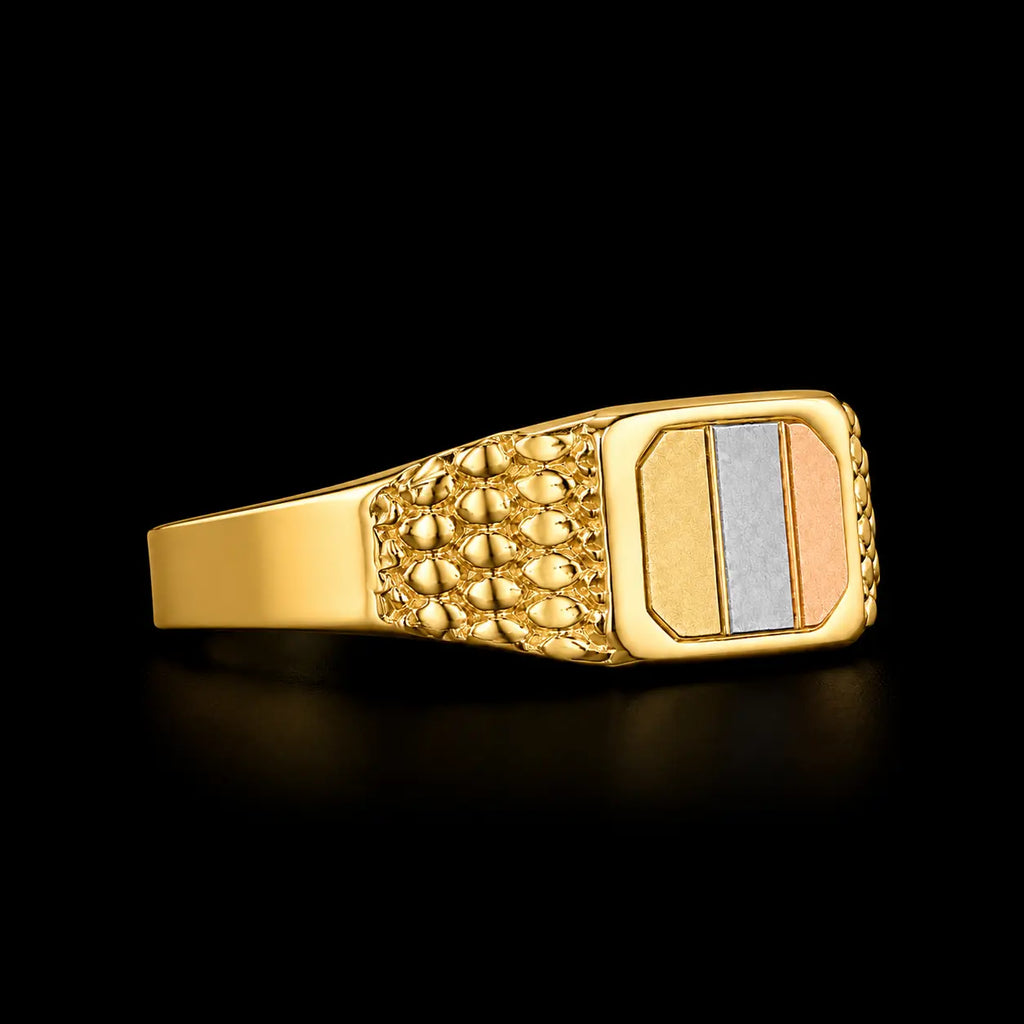 Anillo Bandera