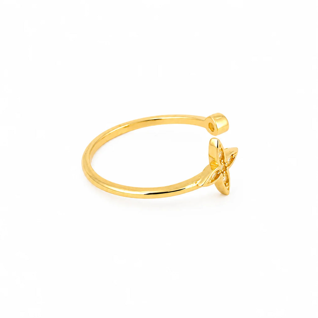 Anillo Celestia
