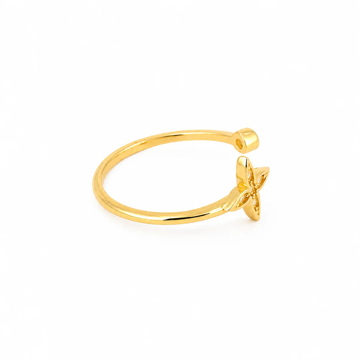 Anillo Celestia