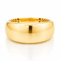 Anillo Chunky Talla 7