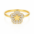 Anillo Estrella Talla 7