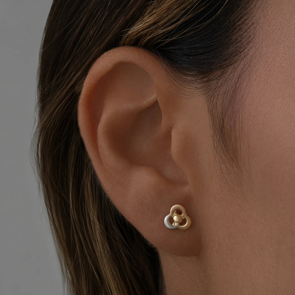 Topos Nudo