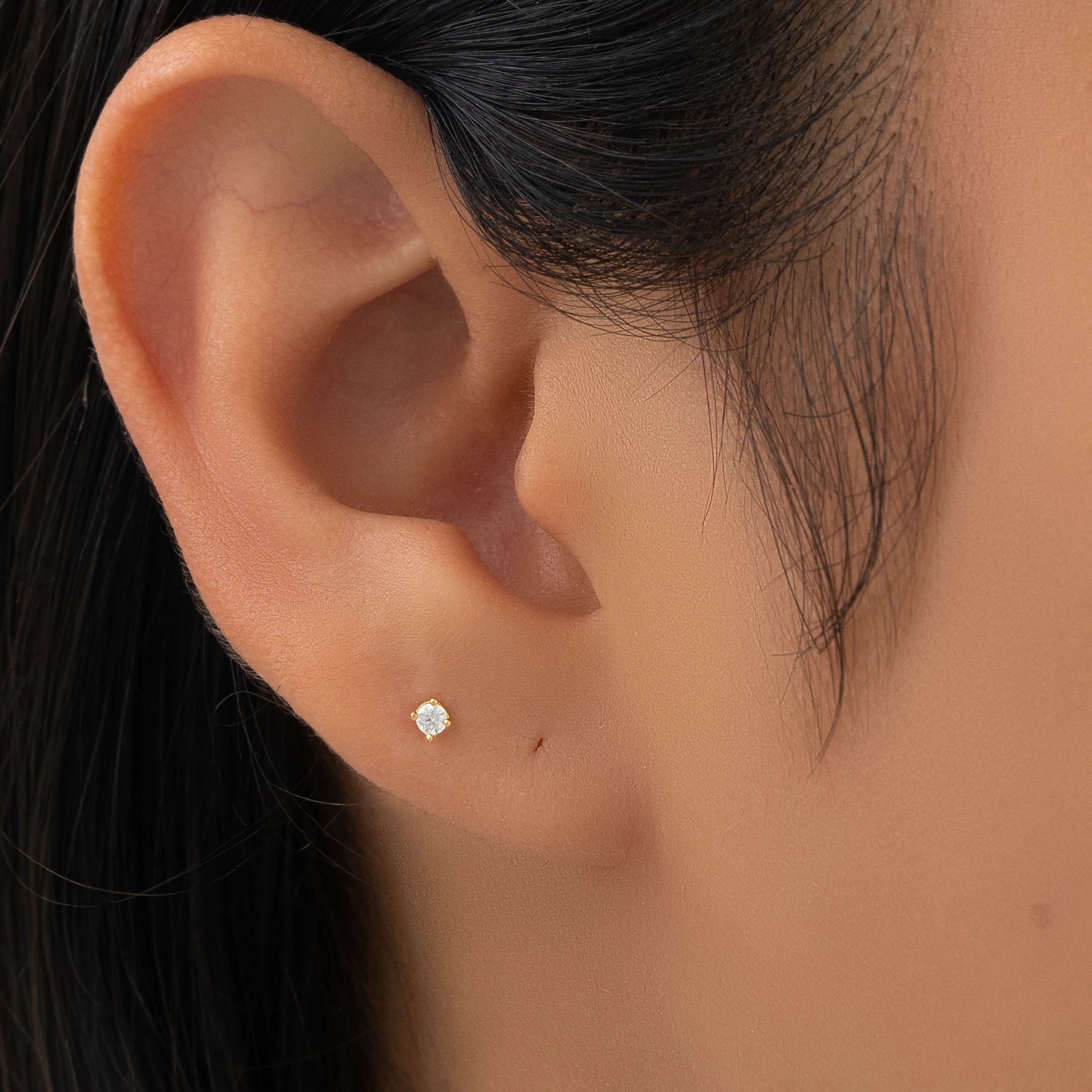 Topos Secundario Circon