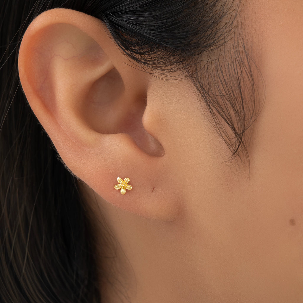 Topos Secundario Flor