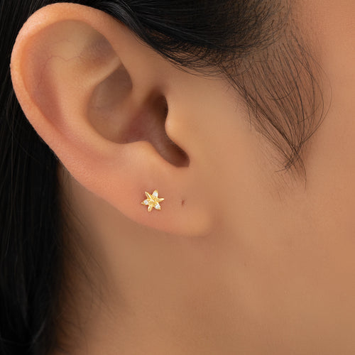 Topos Secundario Flor